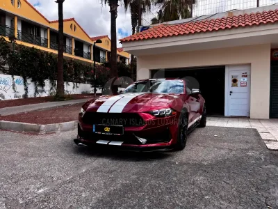 Mustang New Sport Burgundy