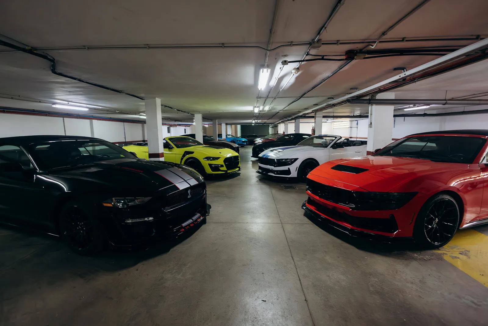 Ford Mustang convertibles in different colours parked side by side in the Canary Islands Luxury Cars garage in Tenerife